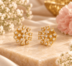 Pallavi Radiance Studs